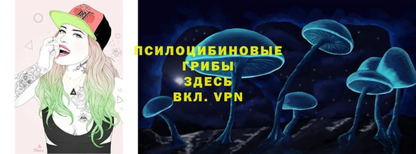 не бодяженный Надым