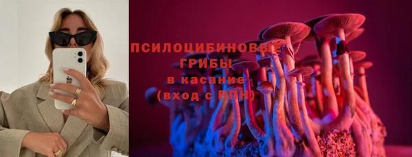 дурь Алексин