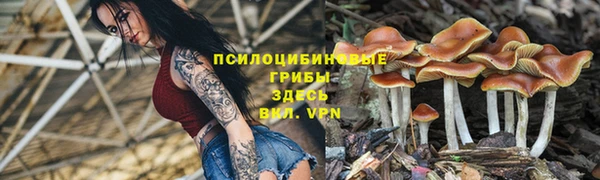 ALPHA PVP Алексеевка