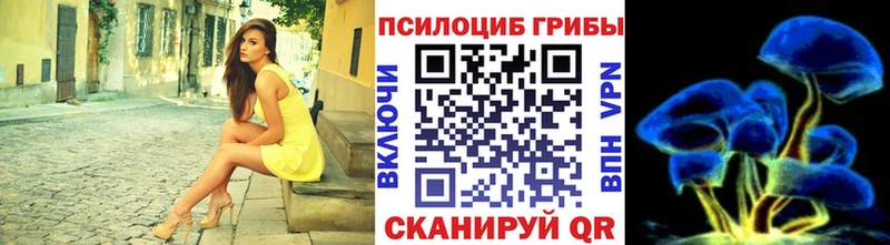 где найти наркотики  Похвистнево  Псилоцибиновые грибы мухоморы 